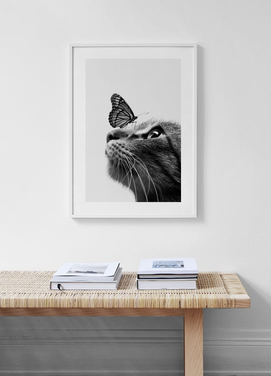Schmetterlingskatze Poster