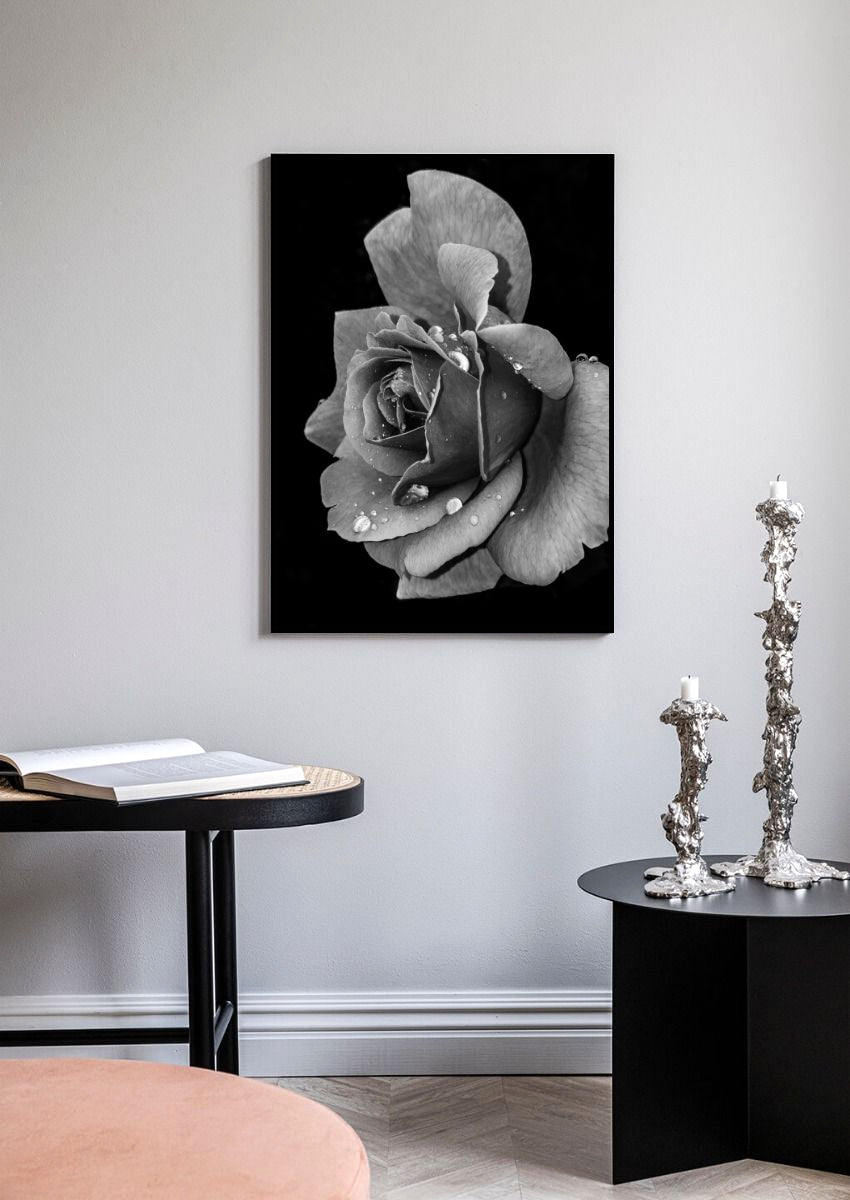 Rosenposter