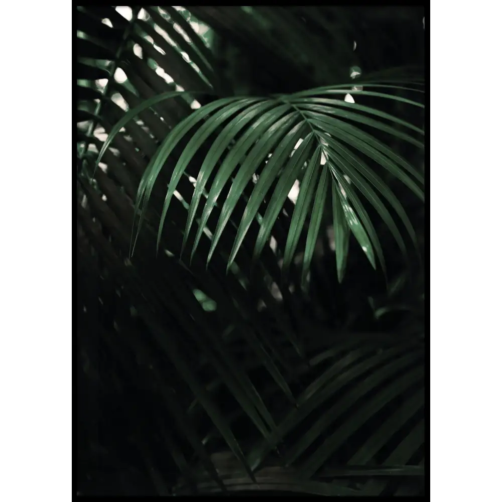 Tropical Leaves Poster