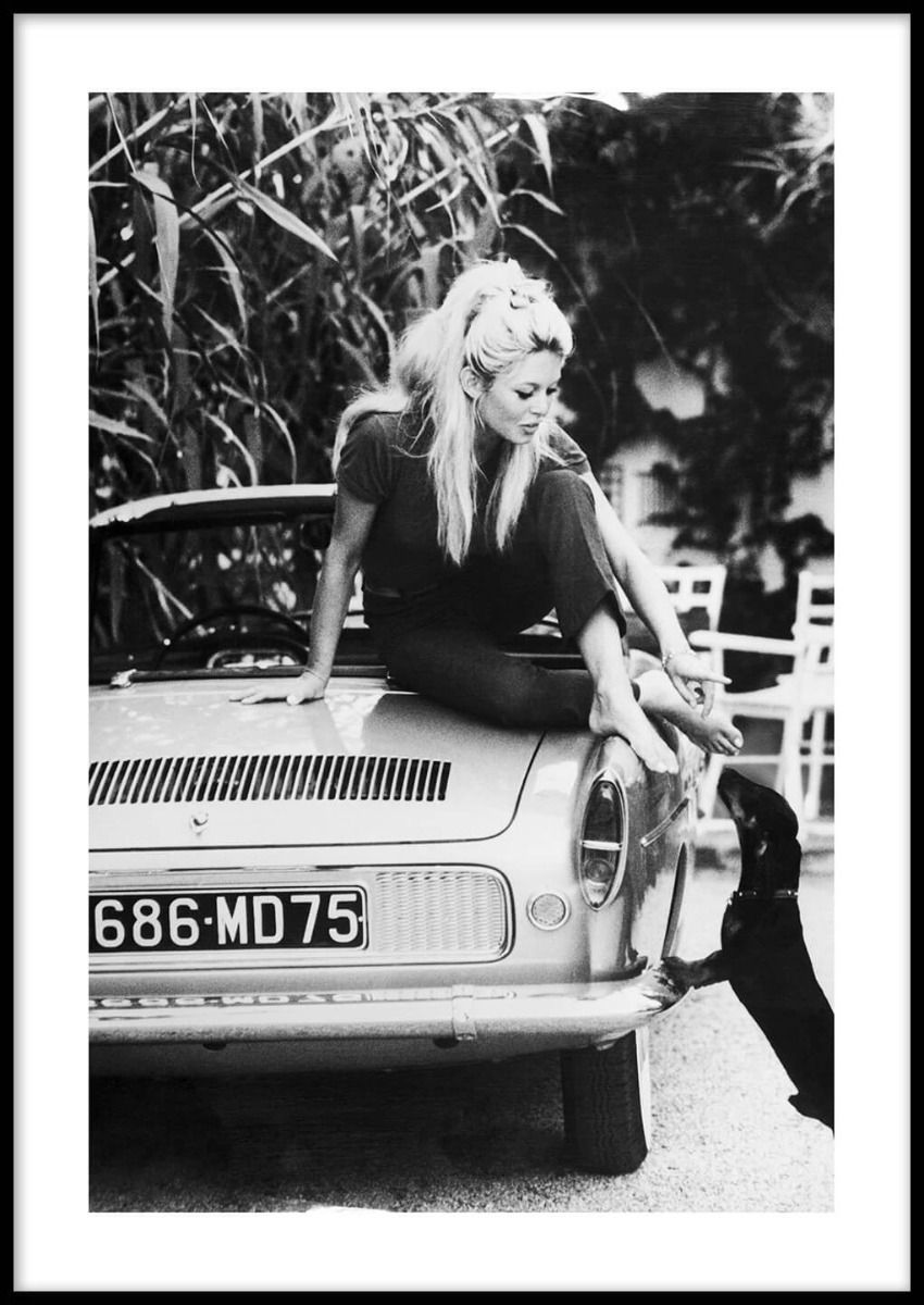 Brigitte Bardot Poster