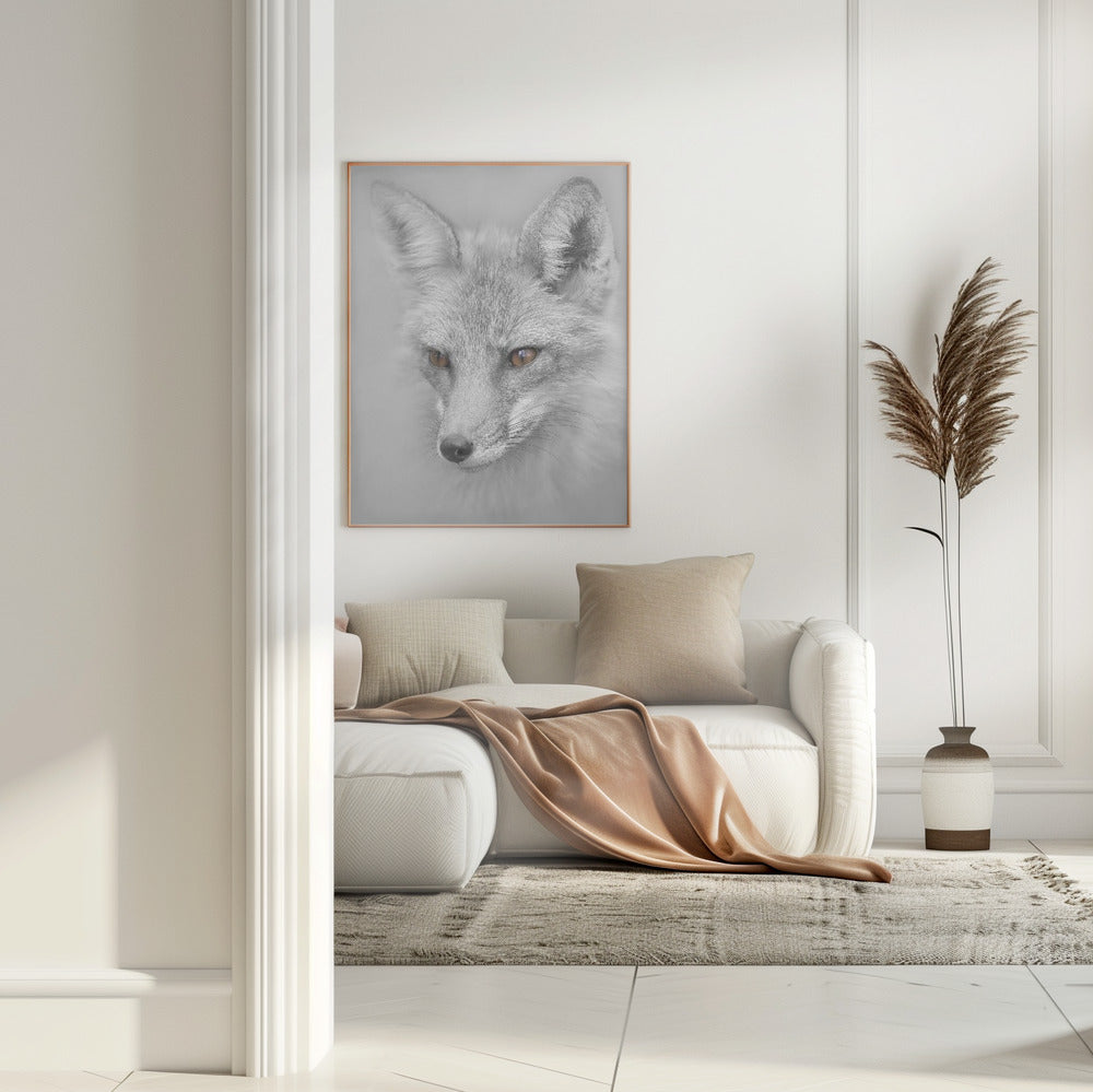 Red Fox Portrait Poster