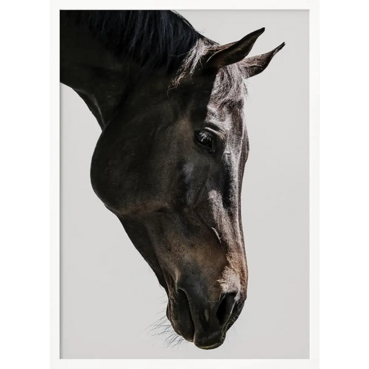 Bingo Poster - 2518354