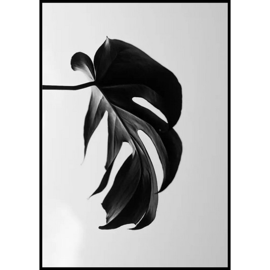Black Leaves Poster