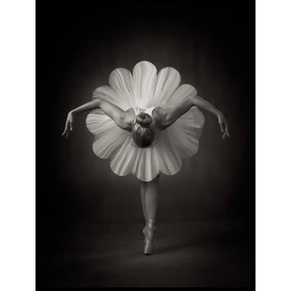 Floral Ballet Poster