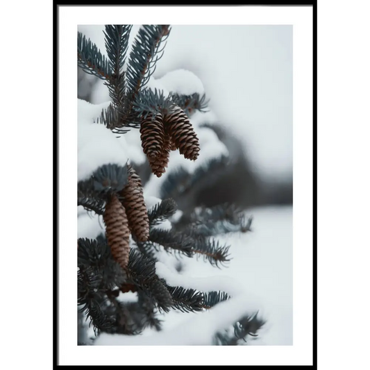 Pinecone Poster