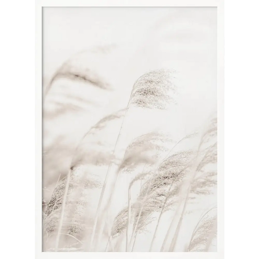 Reed Poster - 2190674