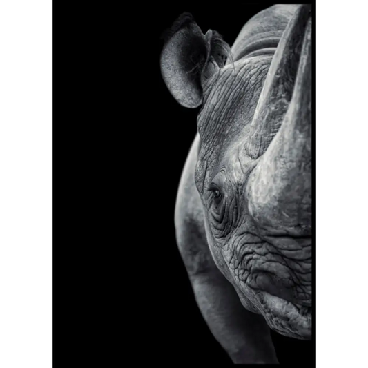Rhino Poster